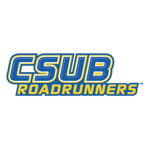 CSU Bakersfield Roadrunners logo Iron-on Transfers N4058